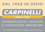 carpinellilogojpg